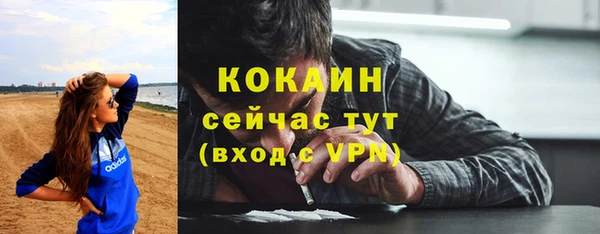индика Армянск