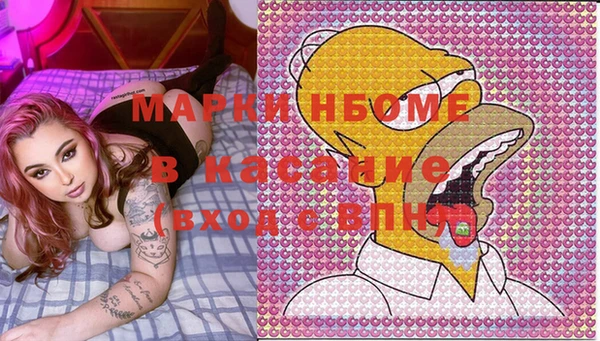 индика Армянск