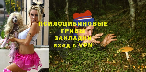 индика Армянск