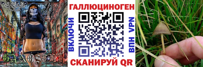 цены наркотик  Суровикино  кракен tor  Галлюциногенные грибы мицелий 